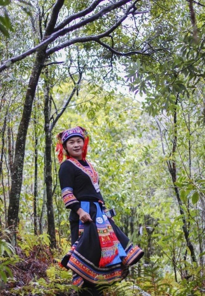 可爱小猫向上跳